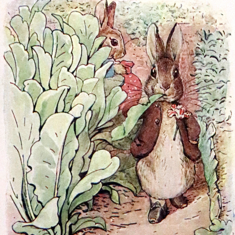 1910 Rare Early Edition - Beatrix Potter - The Tale of Benjamin Bunny.