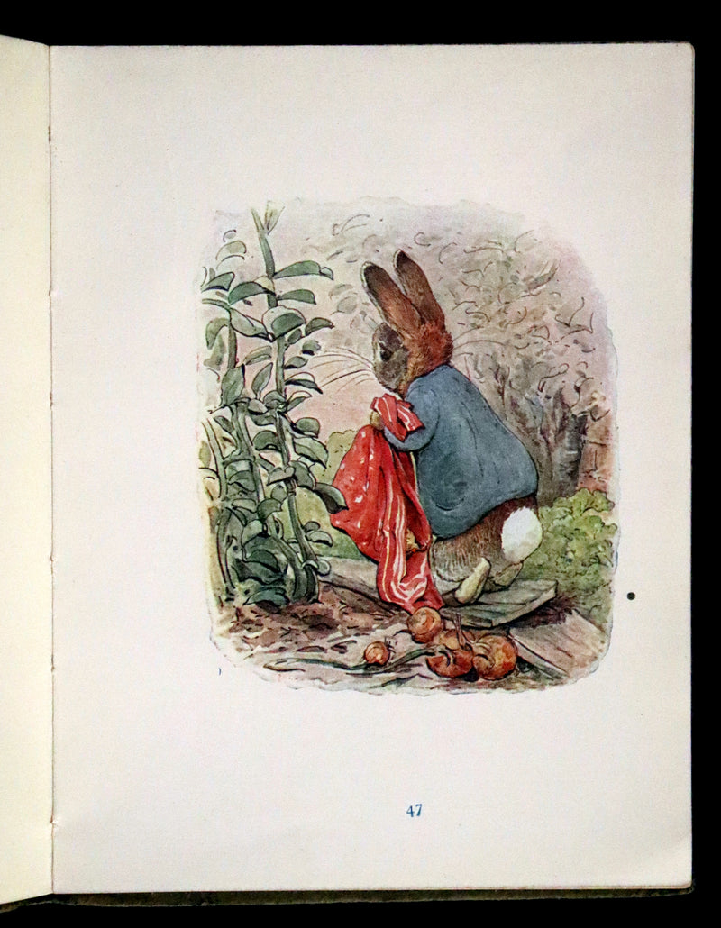 1910 Rare Early Edition - Beatrix Potter - The Tale of Benjamin Bunny.