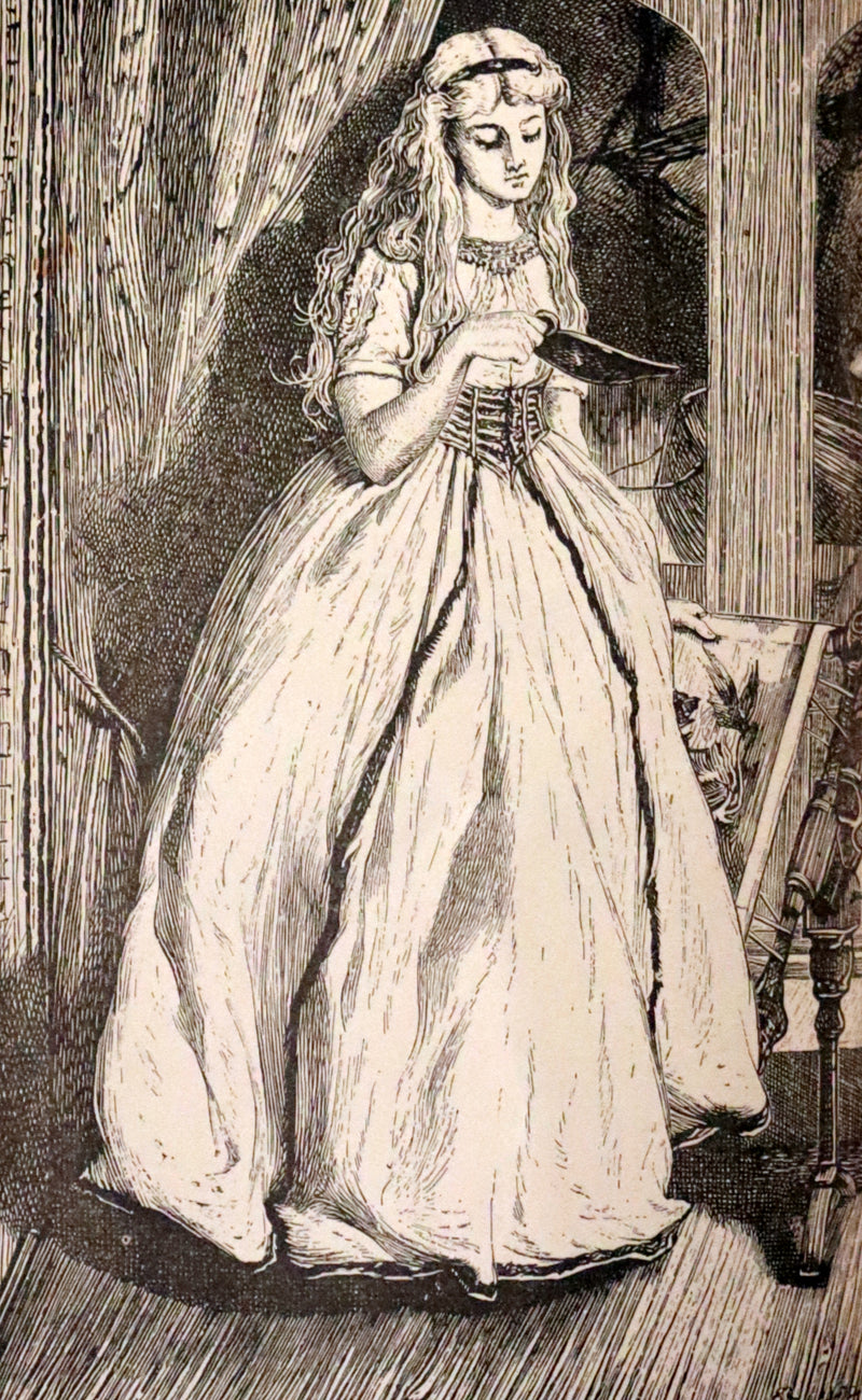 1881 Rare Book - Poems of Edgar Allan POE (The Raven, Lenore, Ulalume, ...).