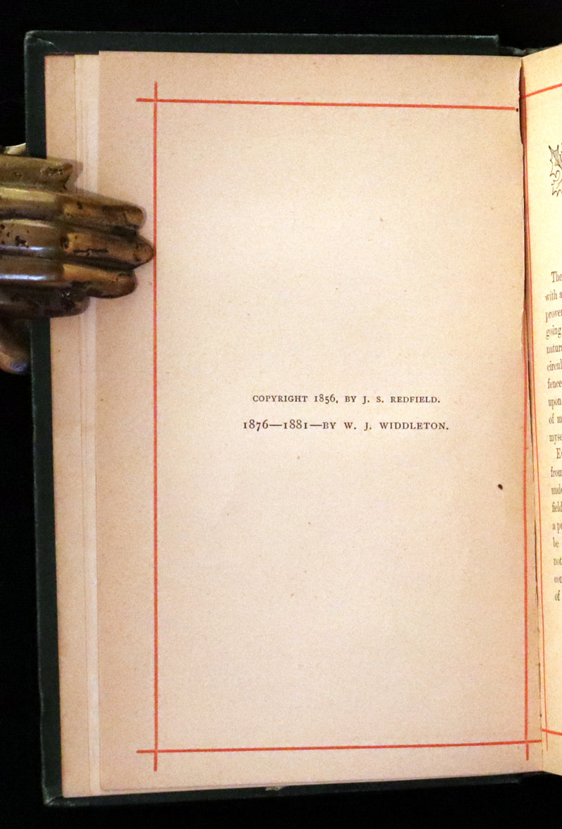 1881 Rare Book - Poems of Edgar Allan POE (The Raven, Lenore, Ulalume, ...).