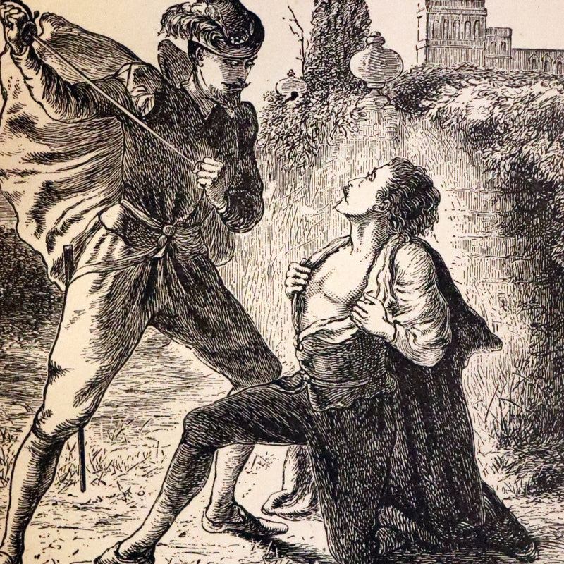 1881 Rare Book - Poems of Edgar Allan POE (The Raven, Lenore, Ulalume, ...).