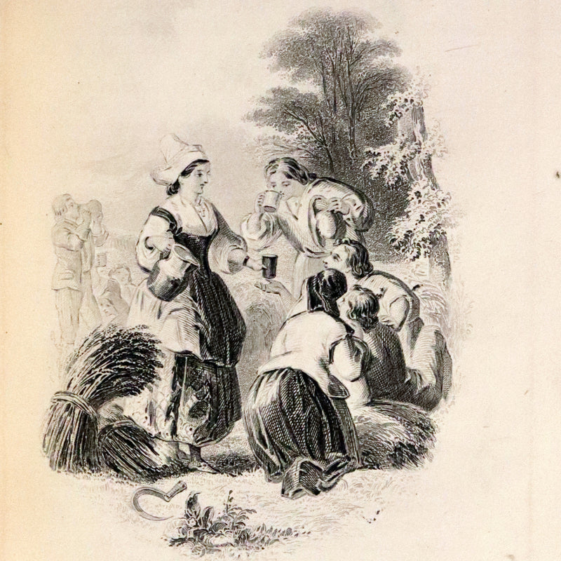 1875 Beautiful Victorian Binding - The Poetical Works of Henry Wadsworth Longfellow. Illustrated.