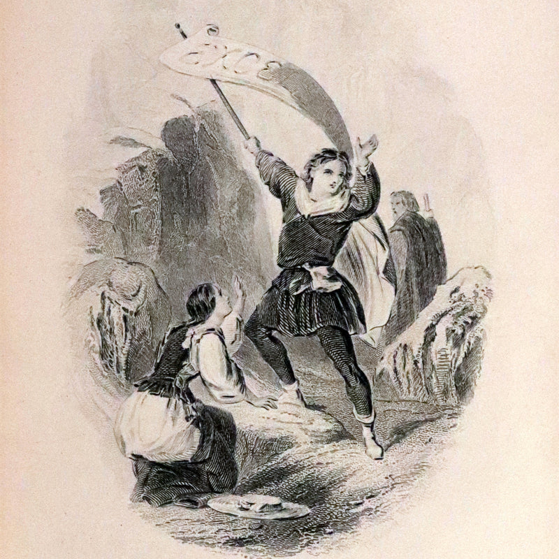 1875 Beautiful Victorian Binding - The Poetical Works of Henry Wadsworth Longfellow. Illustrated.