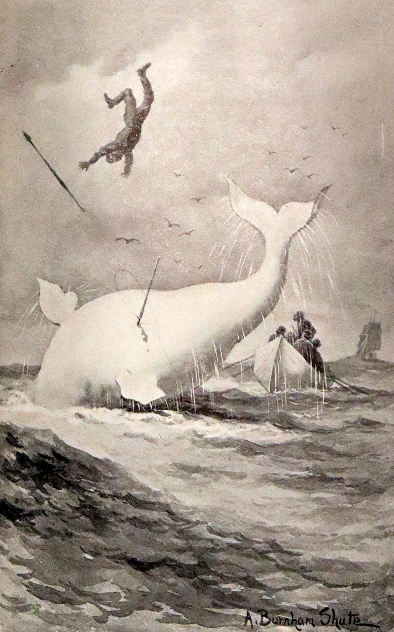1922 Rare Book - MOBY DICK or The White Whale by Herman Melville illustrated by Augustus Burnham Shute.