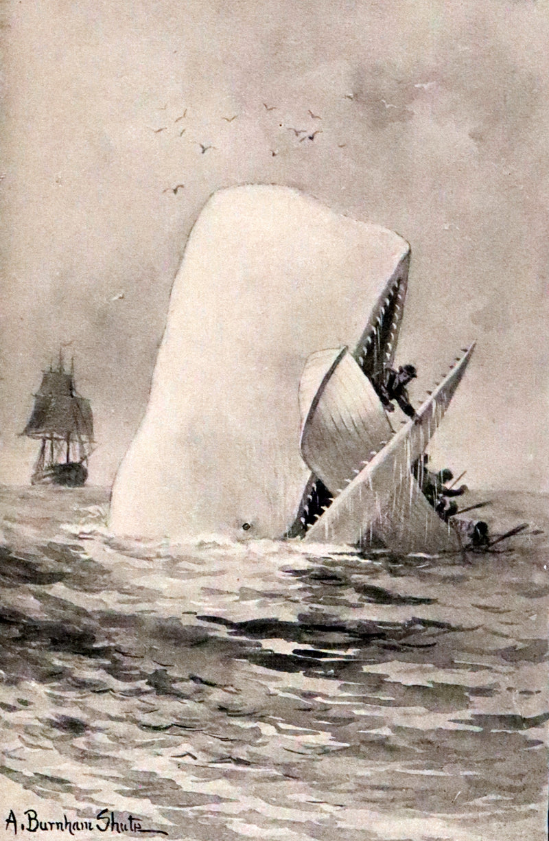 1922 Rare Book - MOBY DICK or The White Whale by Herman Melville illustrated by Augustus Burnham Shute.