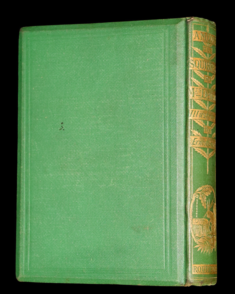 1868 Scarce Book ~ AMONG THE SQUIRRELS by Mrs. Denison, Illustrated by Griset & engraved by Dalziel Brothers.