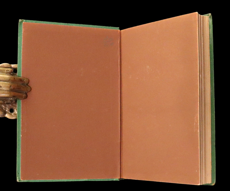 1868 Scarce Book ~ AMONG THE SQUIRRELS by Mrs. Denison, Illustrated by Griset & engraved by Dalziel Brothers.