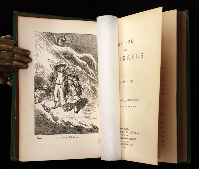 1868 Scarce Book ~ AMONG THE SQUIRRELS by Mrs. Denison, Illustrated by Griset & engraved by Dalziel Brothers.