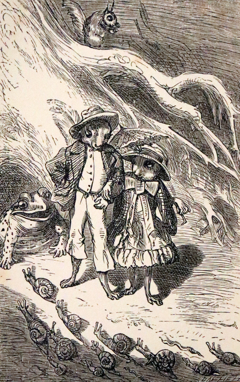 1868 Scarce Book ~ AMONG THE SQUIRRELS by Mrs. Denison, Illustrated by Griset & engraved by Dalziel Brothers.