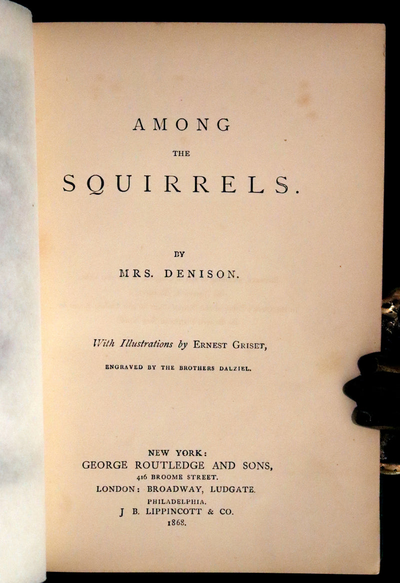 1868 Scarce Book ~ AMONG THE SQUIRRELS by Mrs. Denison, Illustrated by Griset & engraved by Dalziel Brothers.