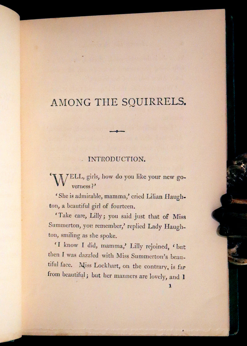 1868 Scarce Book ~ AMONG THE SQUIRRELS by Mrs. Denison, Illustrated by Griset & engraved by Dalziel Brothers.