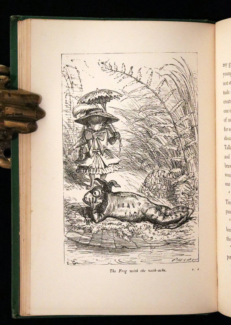1868 Scarce Book ~ AMONG THE SQUIRRELS by Mrs. Denison, Illustrated by Griset & engraved by Dalziel Brothers.
