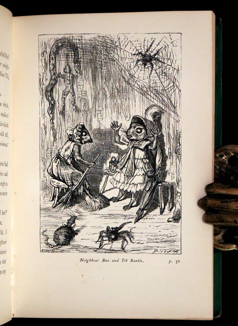1868 Scarce Book ~ AMONG THE SQUIRRELS by Mrs. Denison, Illustrated by Griset & engraved by Dalziel Brothers.