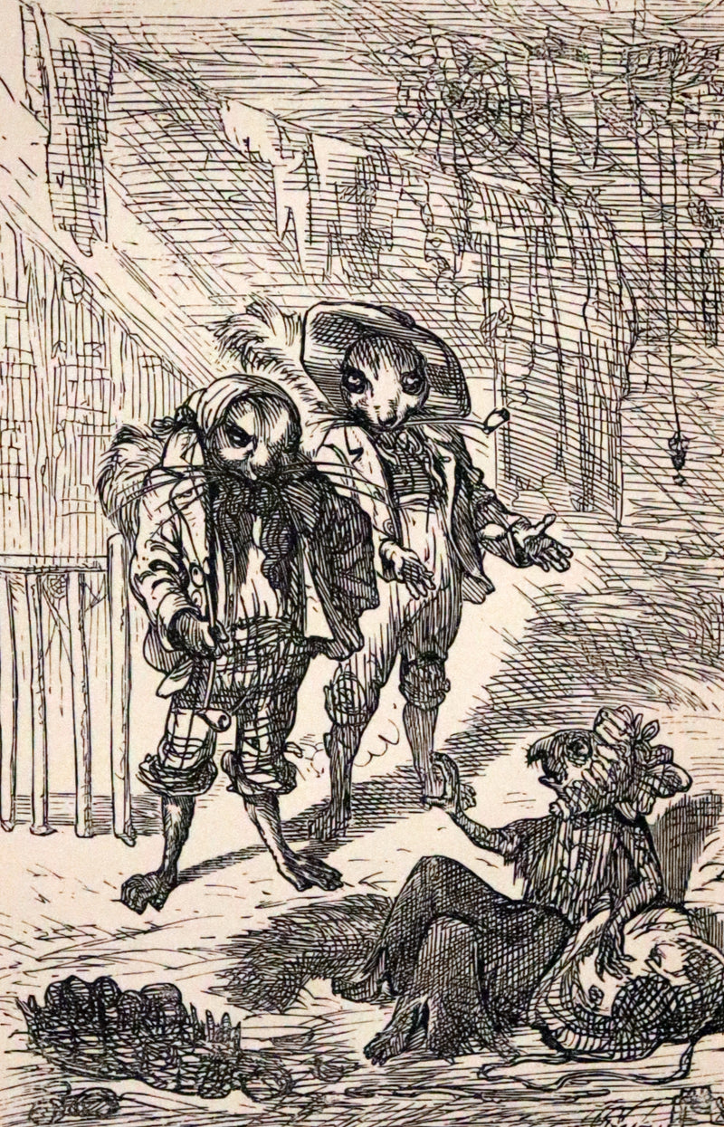 1868 Scarce Book ~ AMONG THE SQUIRRELS by Mrs. Denison, Illustrated by Griset & engraved by Dalziel Brothers.