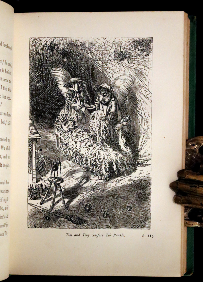 1868 Scarce Book ~ AMONG THE SQUIRRELS by Mrs. Denison, Illustrated by Griset & engraved by Dalziel Brothers.