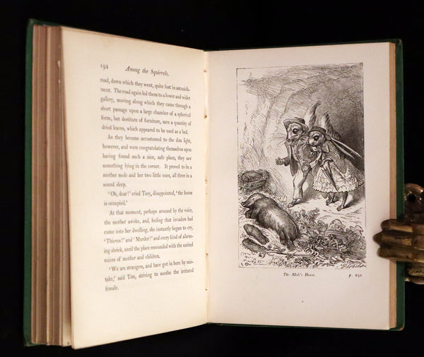 1868 Scarce Book ~ AMONG THE SQUIRRELS by Mrs. Denison, Illustrated by Griset & engraved by Dalziel Brothers.