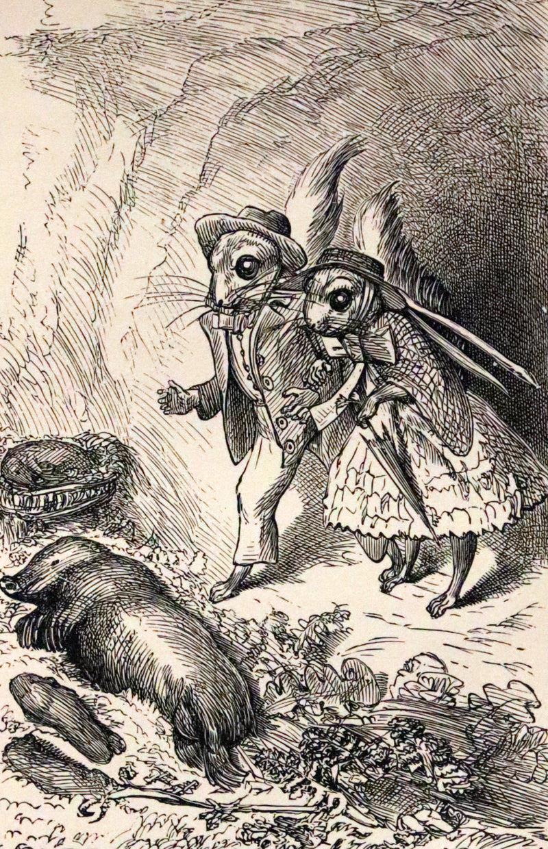 1868 Scarce Book ~ AMONG THE SQUIRRELS by Mrs. Denison, Illustrated by Griset & engraved by Dalziel Brothers.