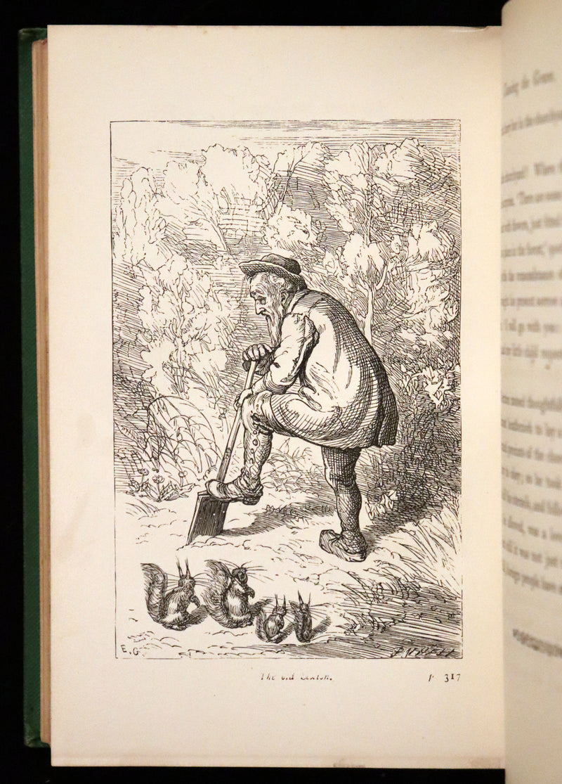 1868 Scarce Book ~ AMONG THE SQUIRRELS by Mrs. Denison, Illustrated by Griset & engraved by Dalziel Brothers.