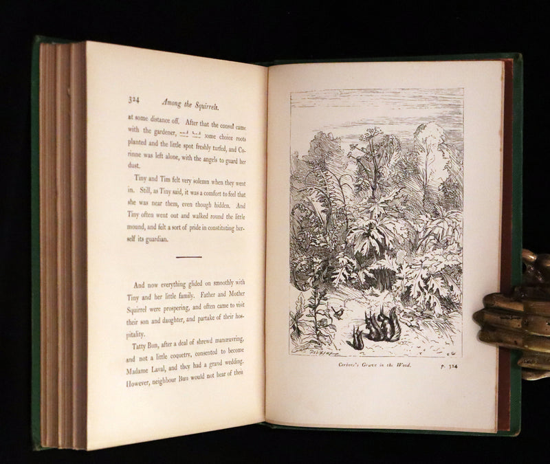 1868 Scarce Book ~ AMONG THE SQUIRRELS by Mrs. Denison, Illustrated by Griset & engraved by Dalziel Brothers.