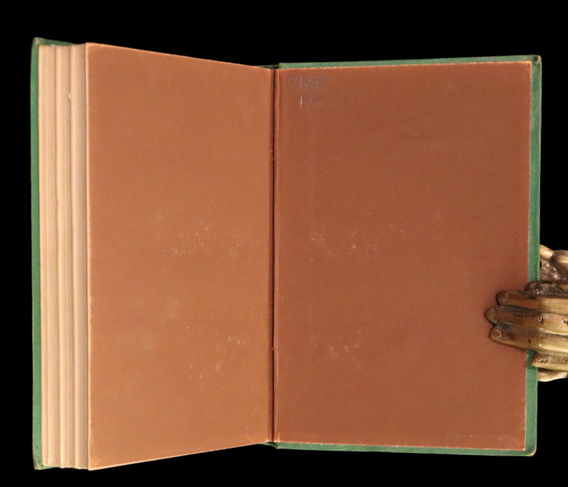 1868 Scarce Book ~ AMONG THE SQUIRRELS by Mrs. Denison, Illustrated by Griset & engraved by Dalziel Brothers.