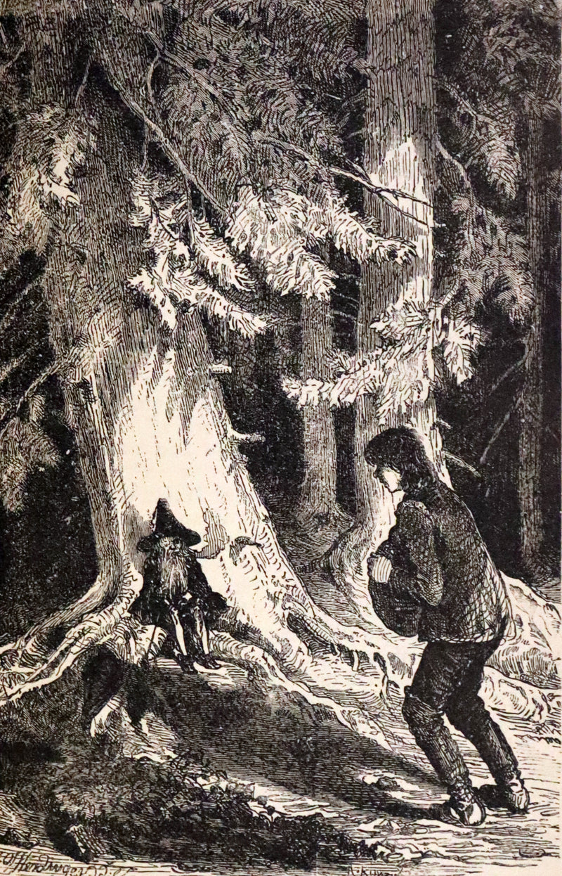 1882 Scarce Victorian Book - HAUFF'S Fairy Tales, Tales of the Caravan, Inn, and Palace. Illustrated.