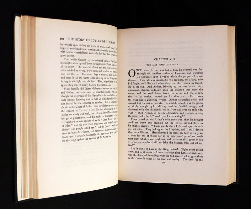 1912 Rare Book Illustrated by Maria L. Kirk - Legend of King Arthur - The Story of Idylls of the King.