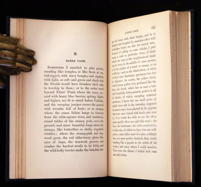 1894 Rare Book Set - WALDEN or, Life in the Woods by Henry David Thoreau.