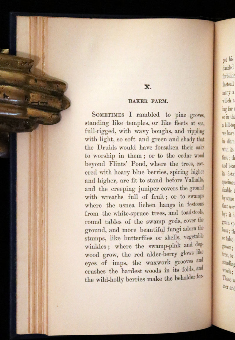 1894 Rare Book Set - WALDEN or, Life in the Woods by Henry David Thoreau.