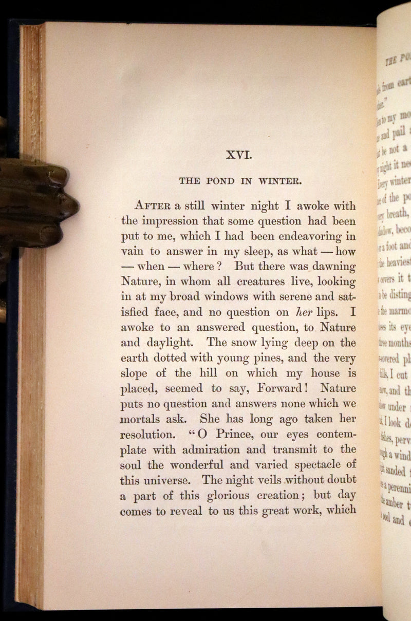 1894 Rare Book Set - WALDEN or, Life in the Woods by Henry David Thoreau.