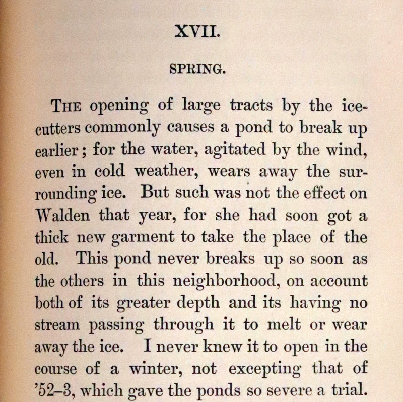 1894 Rare Book Set - WALDEN or, Life in the Woods by Henry David Thoreau.