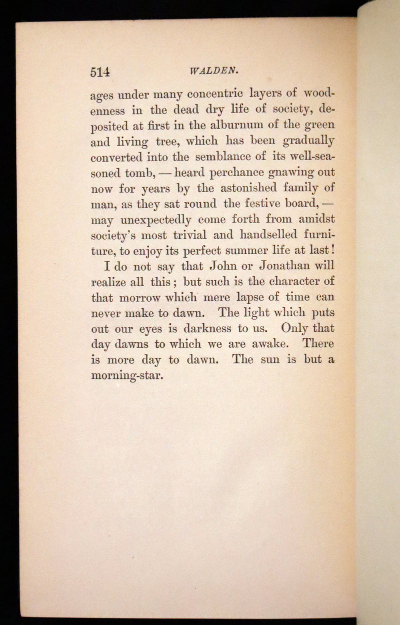 1894 Rare Book Set - WALDEN or, Life in the Woods by Henry David Thoreau.