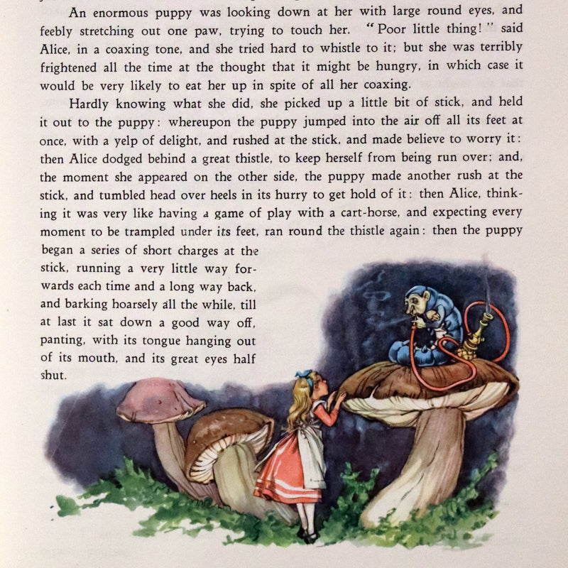 1958 Rare First UK Edition Illustrated by Libico Maraja - Alice's Adventures in Wonderland.