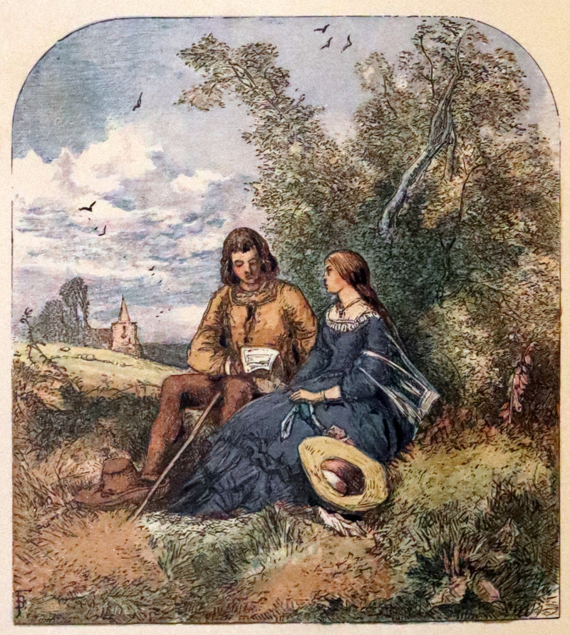 1860 Rare Book - The Poems of Oliver Goldsmith, coloured illustrated by Birket Foster and H. N. Humphrey.