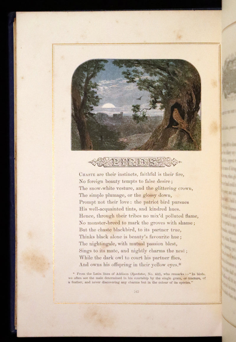 1860 Rare Book - The Poems of Oliver Goldsmith, coloured illustrated by Birket Foster and H. N. Humphrey.