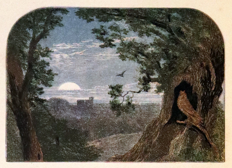 1860 Rare Book - The Poems of Oliver Goldsmith, coloured illustrated by Birket Foster and H. N. Humphrey.