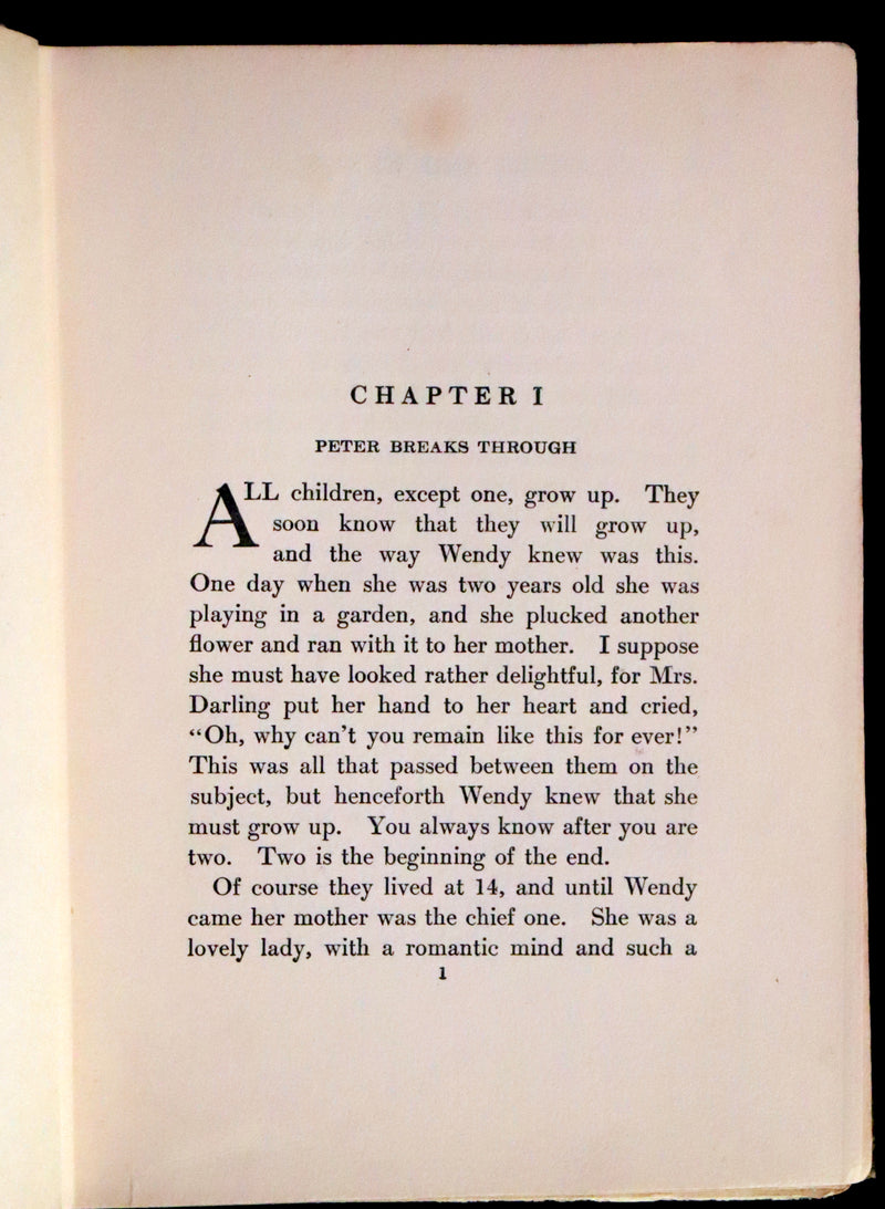 1911 Rare PETER PAN First Edition - PETER and WENDY by J.M. Barrie illustrated by F.D. Bedford.