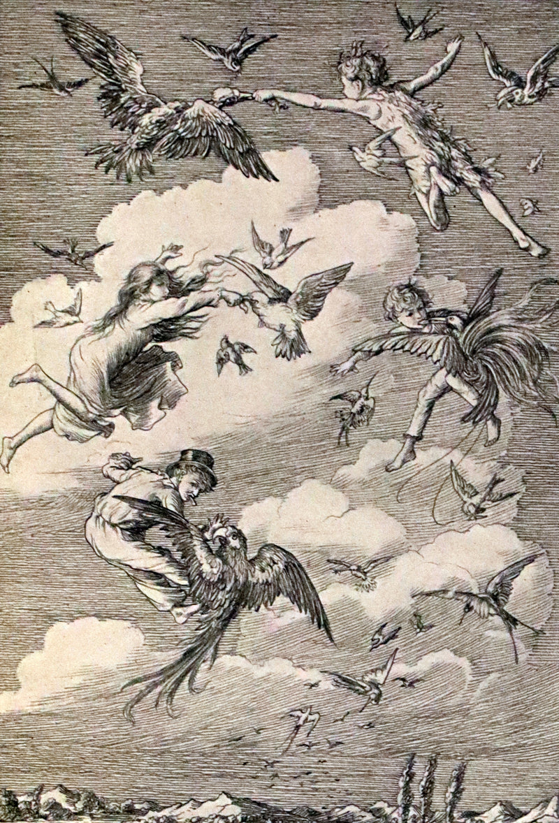 1911 Rare PETER PAN First Edition - PETER and WENDY by J.M. Barrie illustrated by F.D. Bedford.