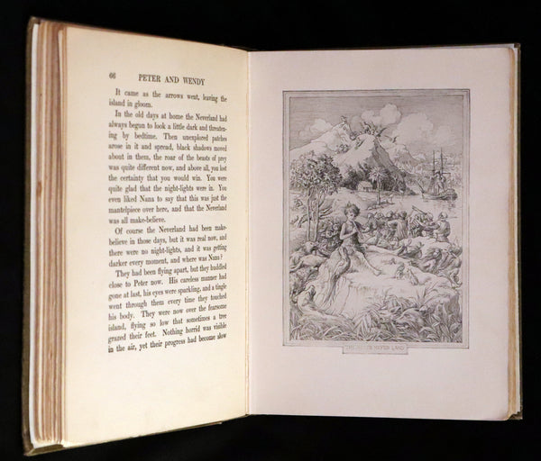 1911 Rare PETER PAN First Edition - PETER and WENDY by J.M. Barrie illustrated by F.D. Bedford.
