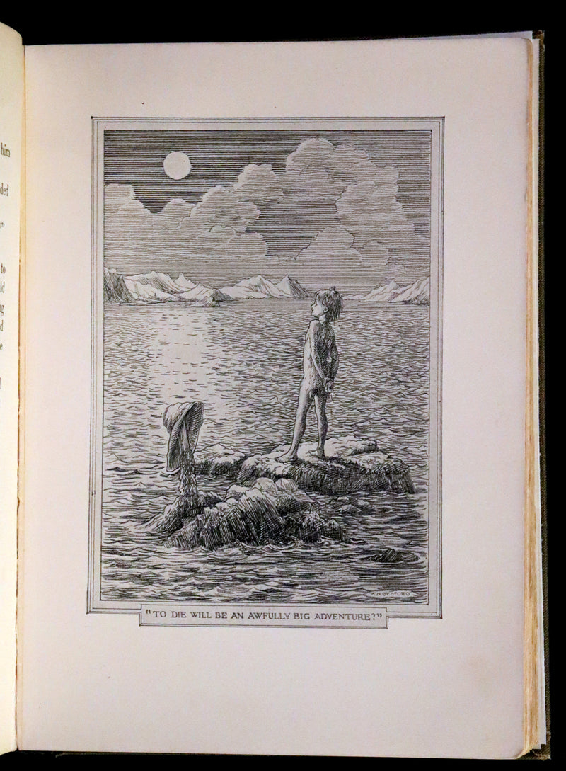 1911 Rare PETER PAN First Edition - PETER and WENDY by J.M. Barrie illustrated by F.D. Bedford.