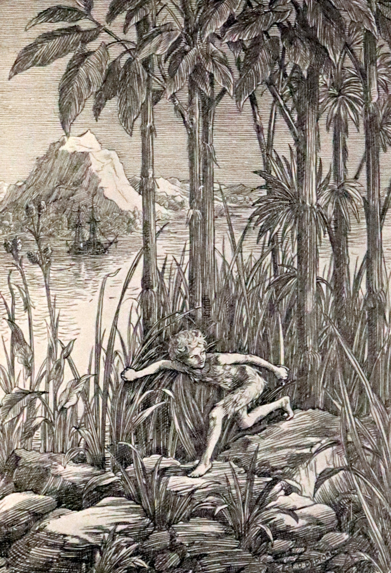 1911 Rare PETER PAN First Edition - PETER and WENDY by J.M. Barrie illustrated by F.D. Bedford.