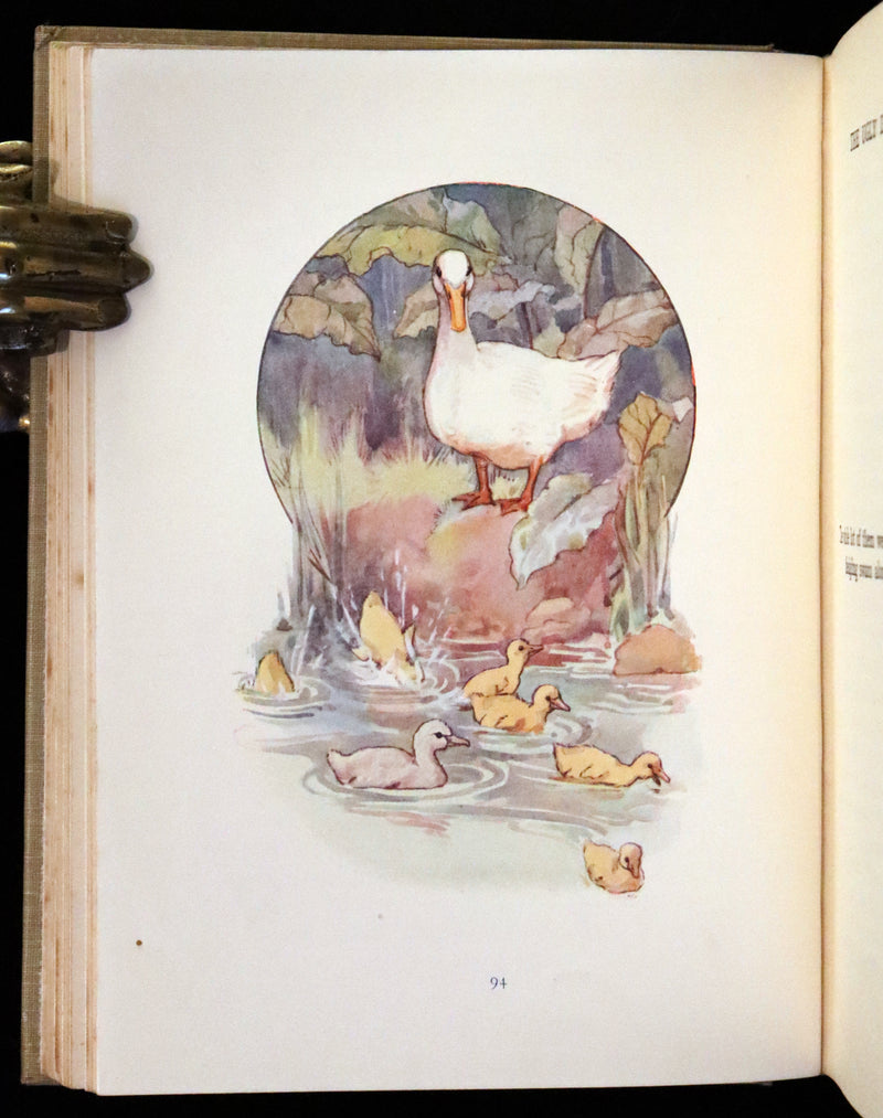 1925 Rare Book - Hans Andersen's FAIRY Stories with 48 Coloured Plates By Margaret W. Tarrant.