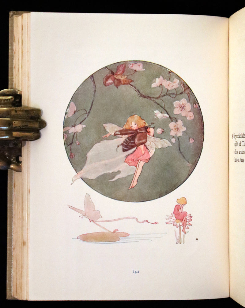 1925 Rare Book - Hans Andersen's FAIRY Stories with 48 Coloured Plates By Margaret W. Tarrant.