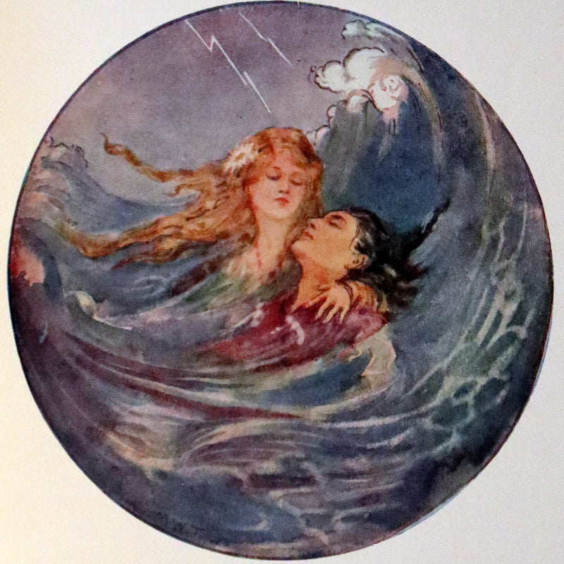 1925 Rare Book - Hans Andersen's FAIRY Stories with 48 Coloured Plates By Margaret W. Tarrant.