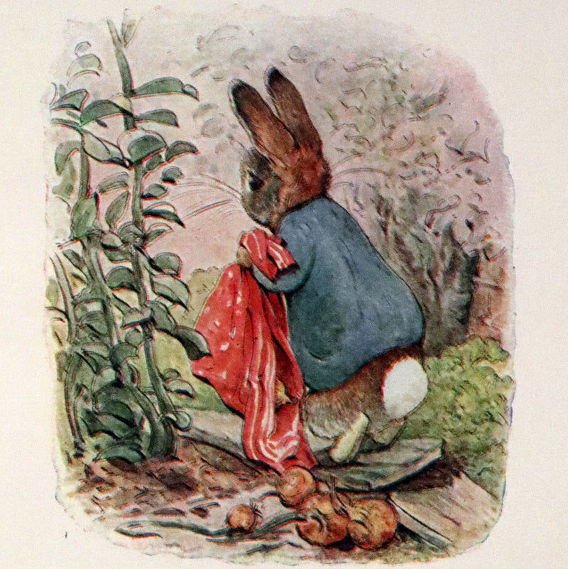 1910 Rare Early Edition - Beatrix Potter - The Tale of Benjamin Bunny.