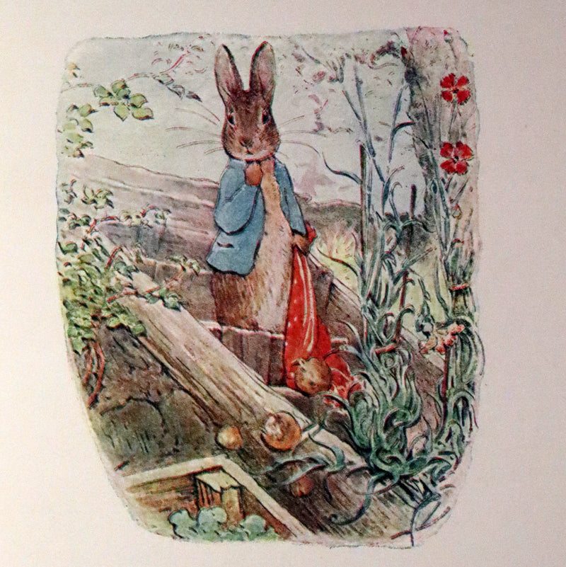 1910 Rare Early Edition - Beatrix Potter - The Tale of Benjamin Bunny.