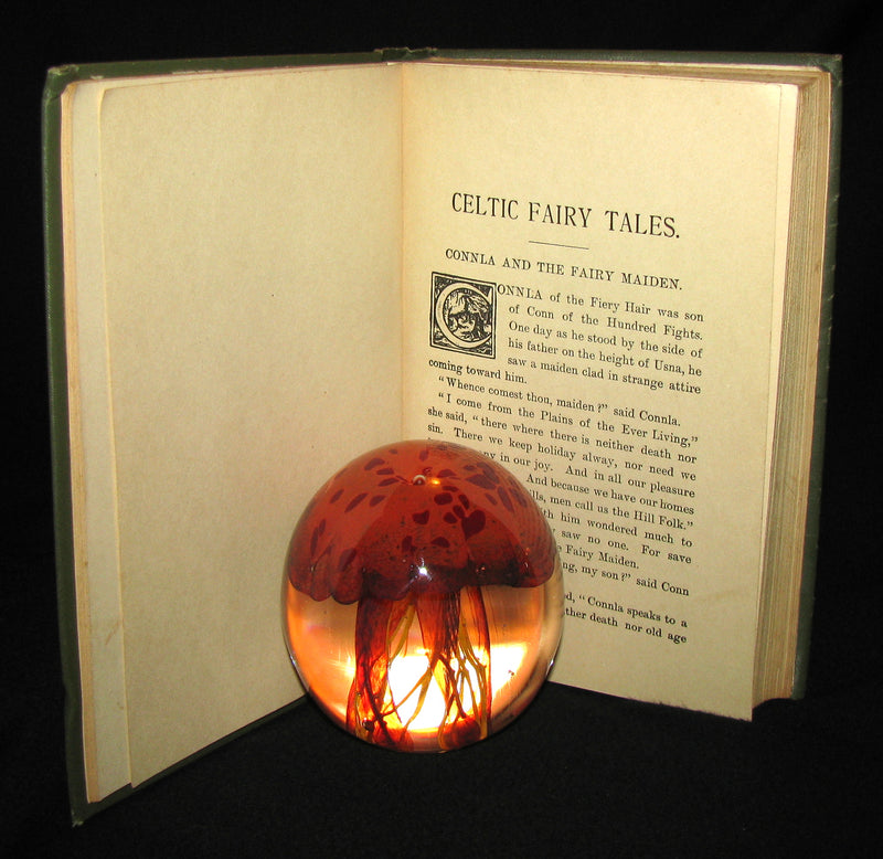 1890 Scarce Victorian Book - CELTIC Fairy Tales by Joseph Jacobs Illustrated by John D. Batten.