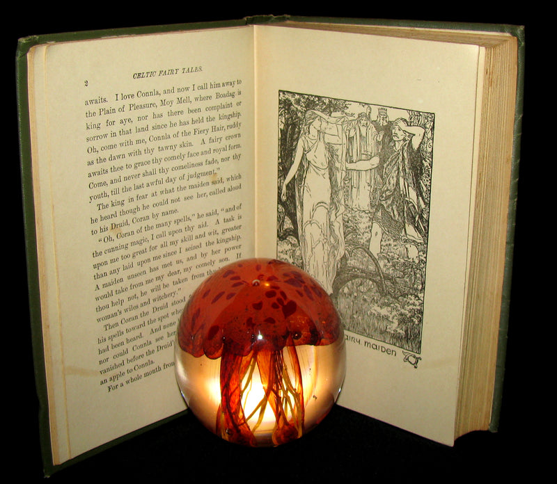 1890 Scarce Victorian Book - CELTIC Fairy Tales by Joseph Jacobs Illustrated by John D. Batten.