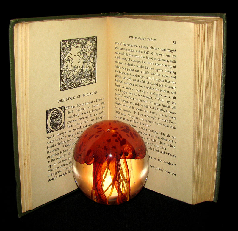 1890 Scarce Victorian Book - CELTIC Fairy Tales by Joseph Jacobs Illustrated by John D. Batten.