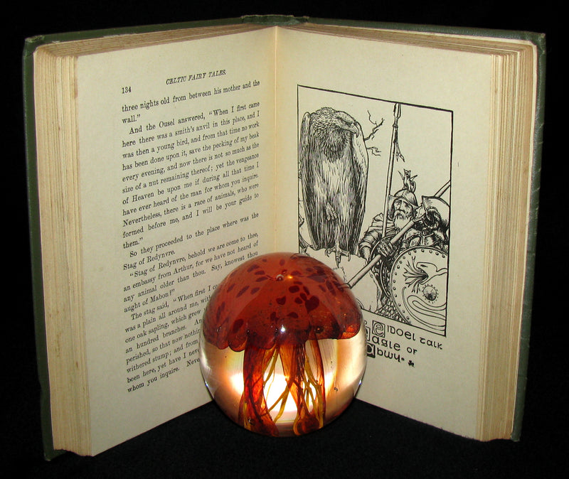 1890 Scarce Victorian Book - CELTIC Fairy Tales by Joseph Jacobs Illustrated by John D. Batten.