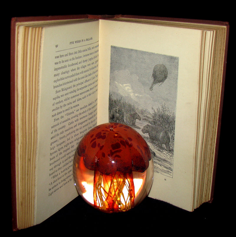 1899 Rare Victorian Book - JULES VERNE Five Weeks in a Balloon.
